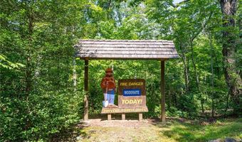 464 Poole Rd, Ball Ground, GA 30107