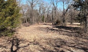 271 Rolling Ranch Blvd, Alvord, TX 76225