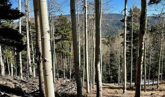 Lot 51 Via de Maria, Angel Fire, NM 87710