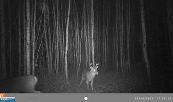 9401 Samuelson, Angora, MN 55703