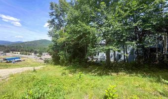 243 Cow Hill Rd 5, Bartlett, NH 03812