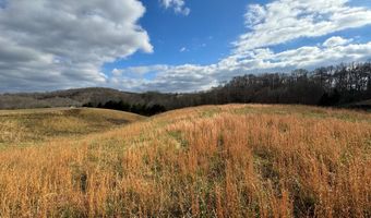 Lot 3 Holly Bend Dr, Byrdstown, TN 38549