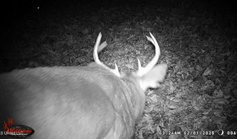 590 247 Country Rd, Bruce, MS 38915
