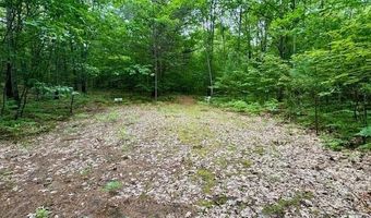 4205 Stoney Creek Rd, Afton, MI 49705