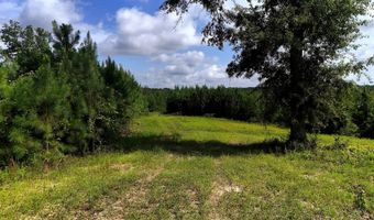 County Road 53, Banks, AL 36005