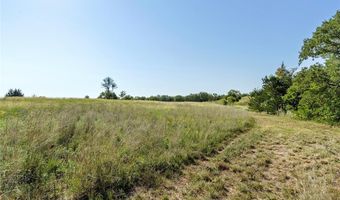 110 Pringle Ct, Alvord, TX 76225