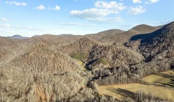 NC 209 Highway, Aurora, NC 28743