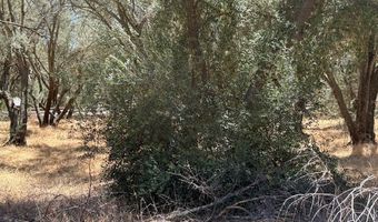 2804 Southgate Rd, Alpine, CA 91901