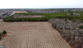 21063 WILSON Rd, Georgetown, DE 19947