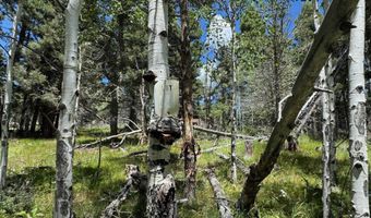 Calle de los Indios lot 44, Angel Fire, NM 87710