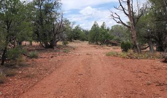 488 B & C Scorpion, Ash Fork, AZ 86320