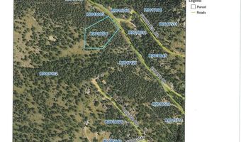 1077 Roland Dr, Bailey, CO 80421