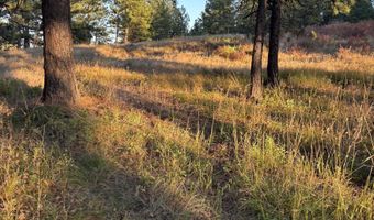 Harlow Ridge Rd - Cloverland Estates 26, Asotin, WA 99402