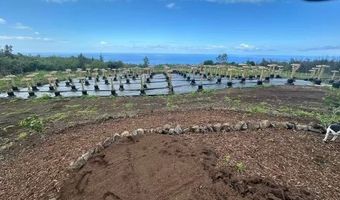 HAWAII BELT ROAD Lot #: 12, Captain Cook, HI 96704