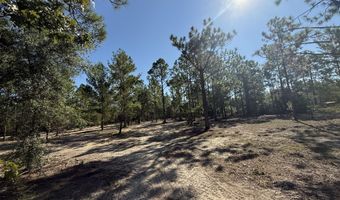 Adams Drive, Alford, FL 32420