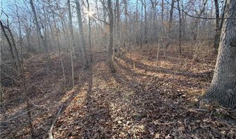 36 Acres Hagee Rd, Anderson, MO 64831