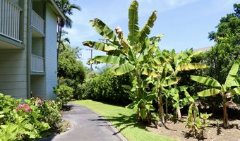 75-5776 KONA ISLANDER INN 201, Kailua Kona, HI 96740