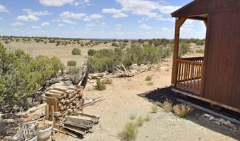 12 County Rd N8543, Concho, AZ 85924