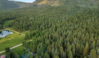 21 County Road 2043, Alpine, AZ 85920