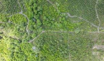 Phillipsville Road, Bay Minette, AL 36507