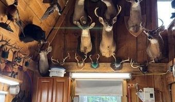 186 S Arm Rd, Andover, ME 04216