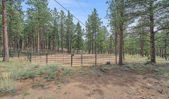 104 Six Bits St, Bailey, CO 80421