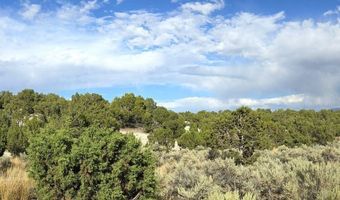 816 Hamilton Stage Rd, Elko, NV 89801