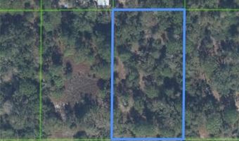 2530 W Yarbrough Rd, Avon Park, FL 33825