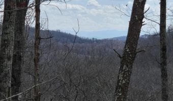 Steve Brown Rd, Bean Station, TN 37708