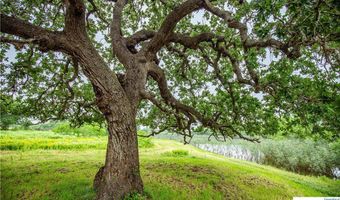 La Vernia Road, Adkins, TX 78101