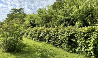 2463 State Highway Dd, Ava, MO 65608