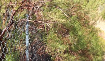 52 Trails End Ln, Anza, CA 92539