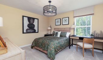 269 Williams Grove Ln, Apex, NC 27523