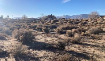 310 Ophir Rd, Dayton, NV 89403