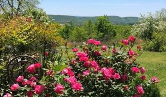 734 Grandview Dr, Altoona, AL 35952