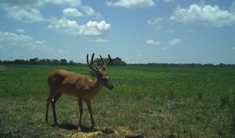 607 Hwy 69, Arma, KS 66712
