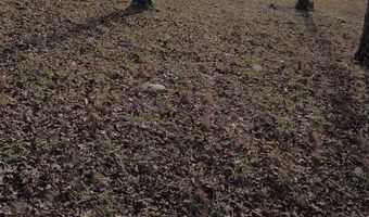 763 PURDY VIEW ACRES Dr Lot 2, Bath Springs, TN 38311