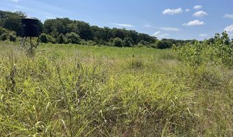 Bolivar Road, Benoit, MS 38725