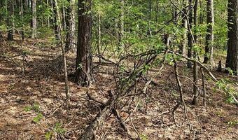 TBD Belvoir LN, Bella Vista, AR 72715