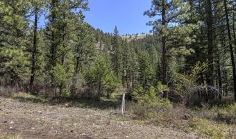 Nhn Mountain Vista Lane, Alberton, MT 59820