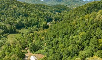 274 Poverty Branch Rd 2, Barnardsville, NC 28709