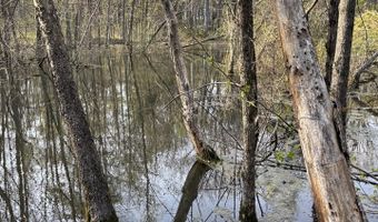 6153 Chandlers Rd, Auburn, KY 42206