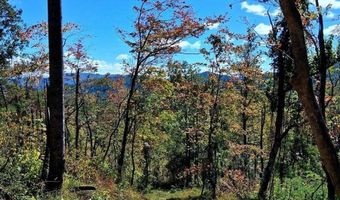 0 Mount Horeb Rd, Amherst, VA 24521