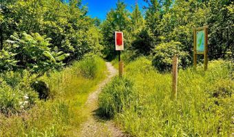 60 Brookside Ave, Albany, NH 03818