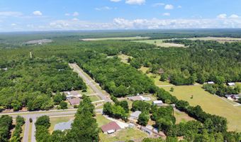 1184 Blackberry Cir, Baker, FL 32531