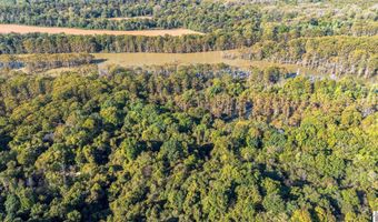 000 County Road 1320 BETWEEN COUNTY ROADS 1324 AND 1320, Bardwell, KY 42023