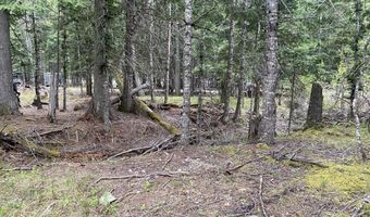 Lots 35 & 36 Dolly Vardon, Bayview, ID 83803