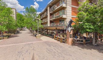 555 E Durant Ave 4-E, Aspen, CO 81611