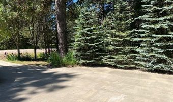 927 Bear Claw Rd, Clark Fork, ID 83811