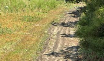 Old Buckhead Road, Bamberg, SC 29003